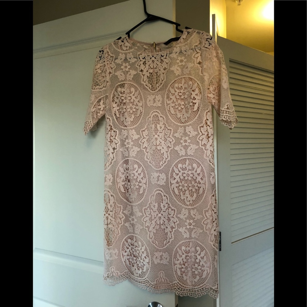 Lace Blush Short Sleeve Dress